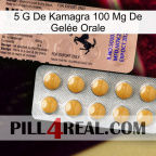 5 G De Kamagra 100 Mg De Gelée Orale 41